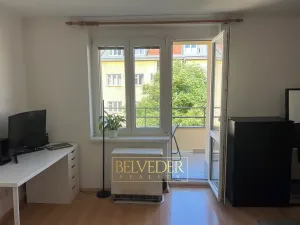 Pronájem bytu 1+kk, Praha - Nusle, Bohuslava ze Švamberka, 25 m2
