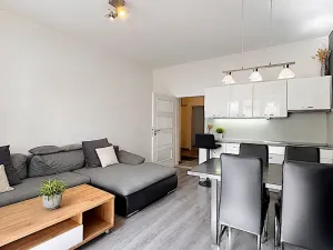 Pronájem bytu 3+kk, Brno, Kopečná, 73 m2
