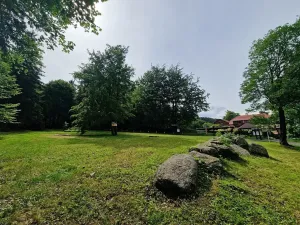 Prodej komerčního pozemku, Mařenice, 1610 m2