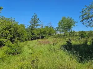 Prodej pozemku pro bydlení, Letovice, 1845 m2