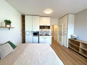 Pronájem bytu 1+kk, Brno, Cejl, 30 m2