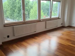Pronájem kanceláře, Zlín, 28 m2