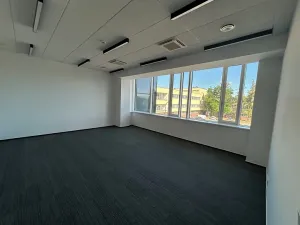 Pronájem kanceláře, Brno, Jana Babáka, 33 m2