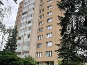Pronájem bytu 1+kk, Karviná, 30 m2