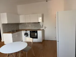 Pronájem bytu 1+kk, Ústí nad Labem, 20 m2