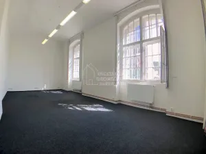 Pronájem kanceláře, Praha - Karlín, Thámova, 36 m2