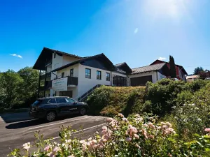 Prodej bytu 2+kk, Železná Ruda, 51 m2