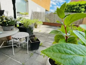 Prodej bytu 1+kk, Praha - Troja, Vřesová, 26 m2