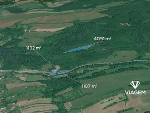 Prodej lesa, Bratřejov, 4108 m2