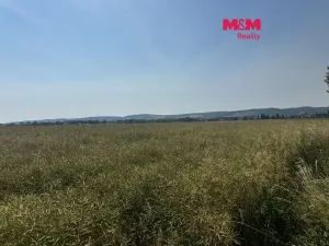 Prodej pole, Město Albrechtice, 244621 m2