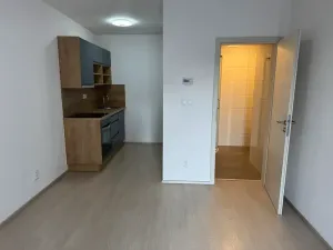 Pronájem bytu 1+kk, Klatovy, Vídeňská, 22 m2