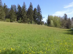 Prodej pole, Mokrosuky, 9910 m2