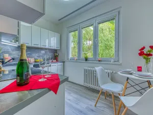 Pronájem bytu 2+1, Chomutov, Blatenská, 52 m2