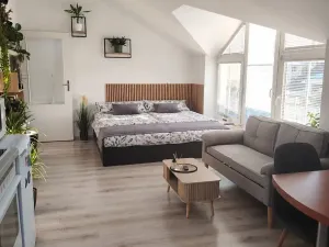 Prodej bytu 1+kk, Písek, Hostivítova, 35 m2