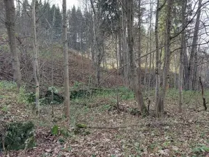 Prodej pozemku, Zlaté Hory, 384 m2