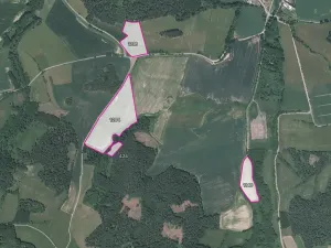 Prodej pole, Kuřimany, 30661 m2