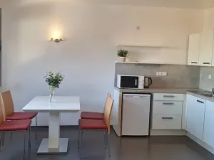 Pronájem bytu 1+kk, Brno, Stará, 46 m2