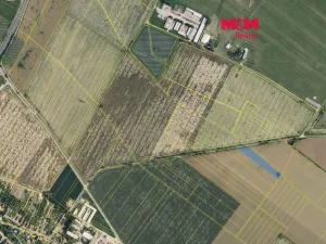 Prodej pole, Prostějov - Žešov, 8491 m2