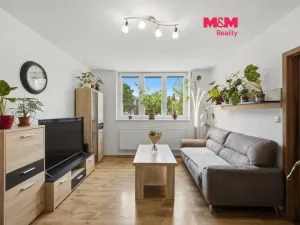Prodej bytu 3+1, Kněževes, Štrosova, 55 m2