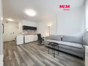 Pronájem bytu 1+kk, Praha - Střížkov, Děčínská, 25 m2