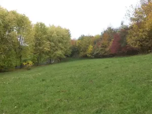 Dražba louky, Ústí nad Labem, 570 m2