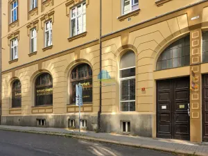 Prodej obchodního prostoru, Aš, Sadová, 241 m2