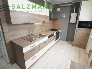 Pronájem bytu 3+1, Plzeň, Pod Švabinami, 74 m2