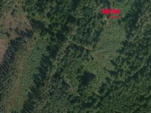 Prodej lesa, Libín - Slavošovice, 32765 m2