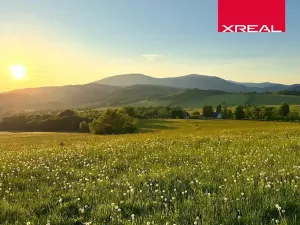 Prodej pozemku pro bydlení, Mladé Buky, 115000 m2