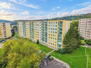 Prodej bytu 2+1, Ústí nad Labem, Žežická, 58 m2