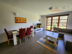 Prodej bytu 1+kk, Říčky v Orlických horách, 55 m2