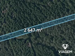 Prodej lesa, Dvory nad Lužnicí, 2647 m2