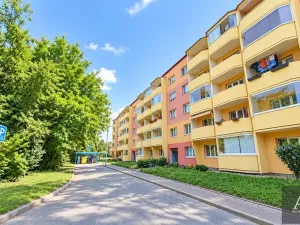 Pronájem bytu 3+1, Veselí nad Moravou, Hutník, 58 m2