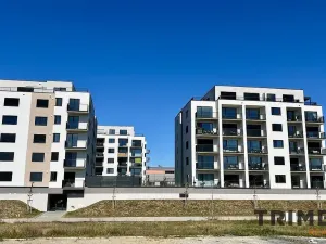 Prodej bytu 3+kk, Opava - Předměstí, Císařského pluku, 80 m2