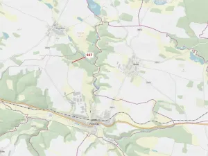 Dražba lesa, Vladislav, 613 m2