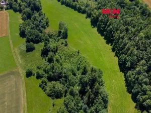Prodej lesa, Bílá, 11944 m2
