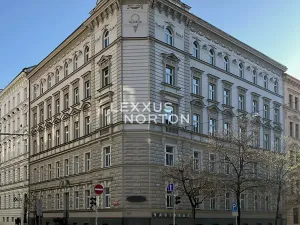 Prodej bytu 2+kk, Praha - Nové Město, Wenzigova, 71 m2