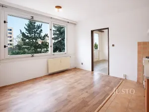 Pronájem bytu 1+1, Písek, třída Přátelství, 38 m2
