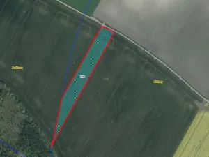 Prodej pole, Běchary, 12202 m2