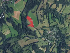 Prodej louky, Dalečín, 12868 m2