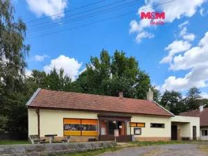 Pronájem obchodního prostoru, Bystřice nad Pernštejnem - Domanín, 151 m2