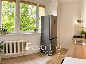 Pronájem bytu 2+1, Brno, Arbesova, 58 m2