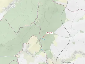 Dražba lesa, Nová Hradečná, 5079 m2
