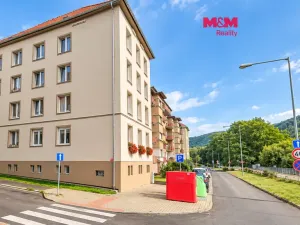 Prodej bytu 3+1, Ústí nad Labem - Střekov, Střekovské nábřeží, 67 m2