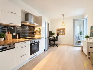 Pronájem bytu 2+kk, Mladá Boleslav, 17. listopadu, 58 m2