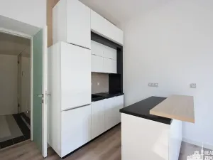 Pronájem bytu 2+kk, Praha - Žižkov, Bořivojova, 54 m2