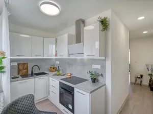 Pronájem bytu 2+1, Most, Zdeňka Fibicha, 55 m2