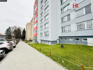 Pronájem bytu 1+1, Benešov, Nová Pražská, 46 m2