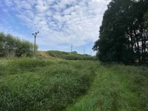 Prodej pole, Tachov, 2776 m2