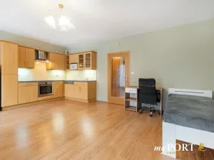 Pronájem bytu 1+kk, Plzeň, Majerova, 40 m2